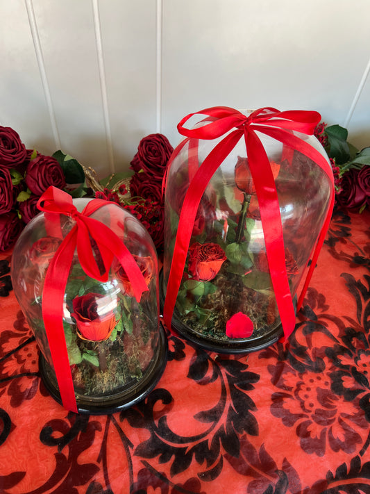 Glowloom - Dried Rose